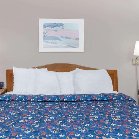 Days Inn By Wyndham Seguin Tx מראה חיצוני תמונה